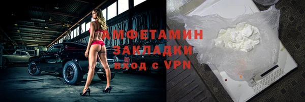 гидра Богородск