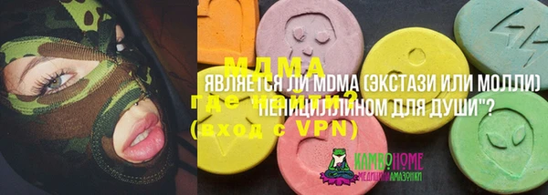 гидра Богородск
