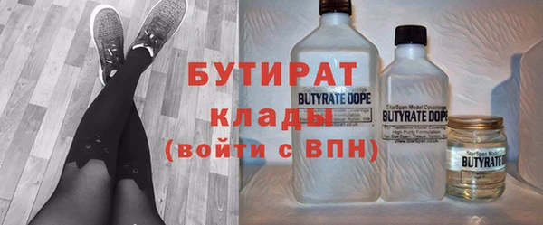 гидра Богородск