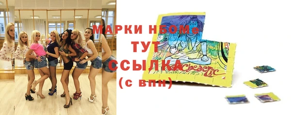 гидра Богородицк