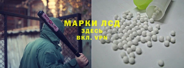 гидра Богородицк
