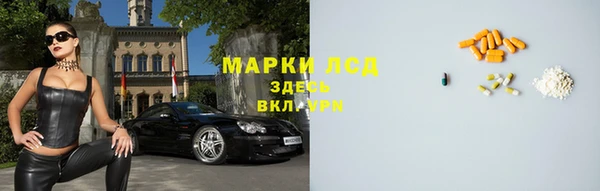 гидра Богородск