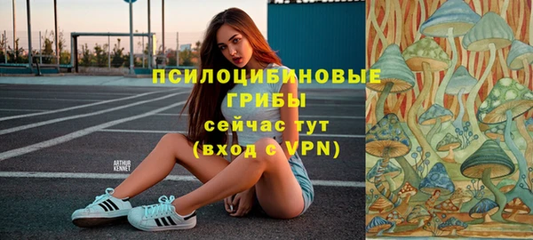 гидра Богородицк