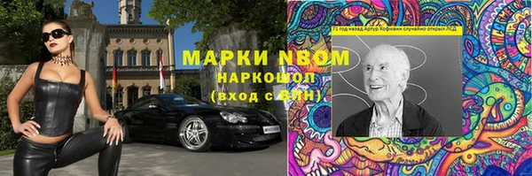 гидра Богородск