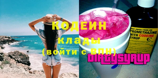 гидра Богородицк