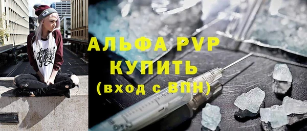гидра Богородск