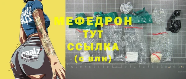 гидра Богородицк