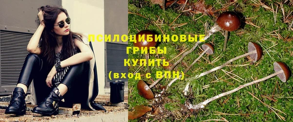 гидра Богородицк