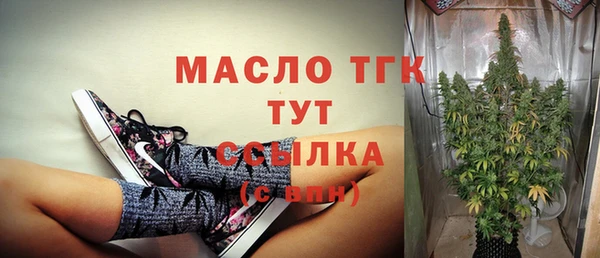гидра Богородицк