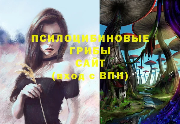 кокаин перу Богданович